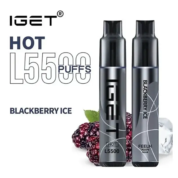 IGET Hot 5500 Blackberry Ice disposable vape shown front on against a plain white background, Blackberry Ice flavour