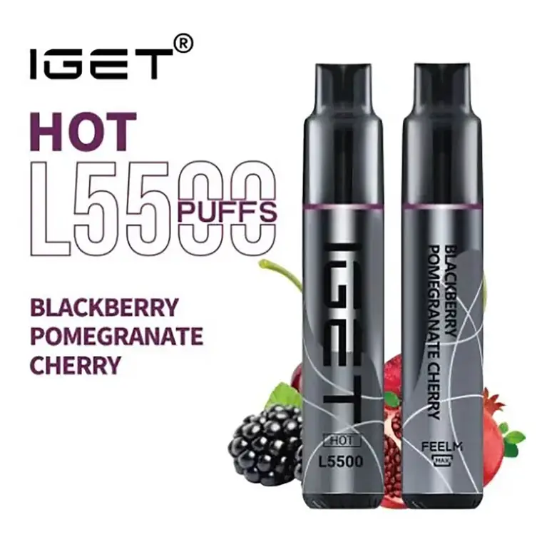 IGET Hot 5500 Blackberry Pomegranate Cherry disposable vape shown front on against a plain white background, Blackberry Pomegranate Cherry flavour