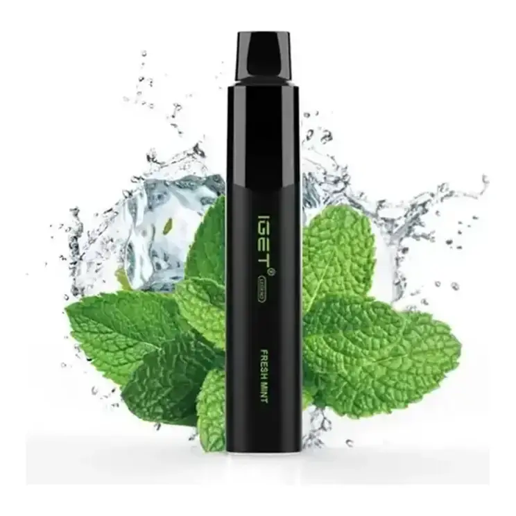 Front view of the IGET Legend 4000 Fresh Mint disposable vape in Fresh Mint