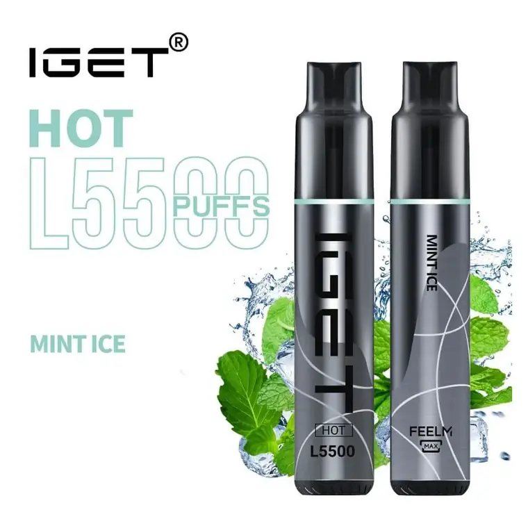 IGET Hot 5500 Mint Ice disposable vape photographed front on against a white background